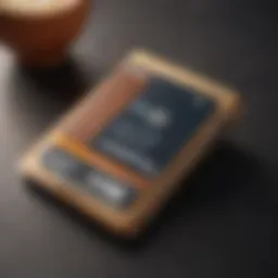 Stylish Qiwi Wallet Interface