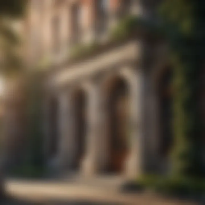 Eminence in Academia Ivy-covered university building