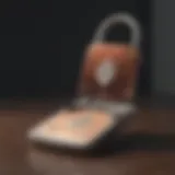 Secure Cryptocurrency Storage Concept