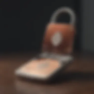 Secure Cryptocurrency Storage Concept