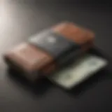 Digital Wallet Security Concept