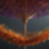Intricate Umbrella Weaving Technique
