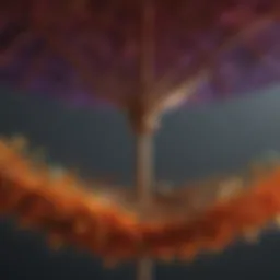 Intricate Umbrella Weaving Technique