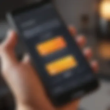 A user-friendly interface of a software wallet on a smartphone