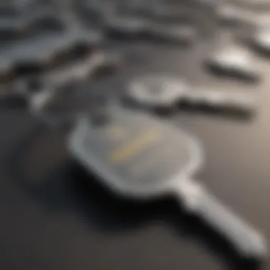 Future Trends in Public Key Generation Diagram showcasing the future trends in public key generation and digital security
