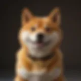 Shiba Inu cryptocurrency logo