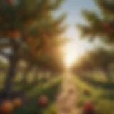 Vibrant orchard of peach trees ripe for harvest