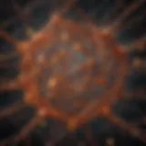 Abstract representation of Shib's intricate network