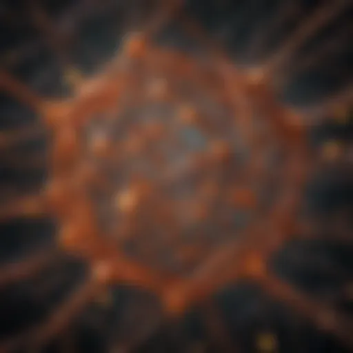 Abstract representation of Shib's intricate network