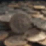 Illustration depicting US dollar and Pakistani rupee currency symbols