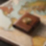 Luxurious leather wallet on a world map background