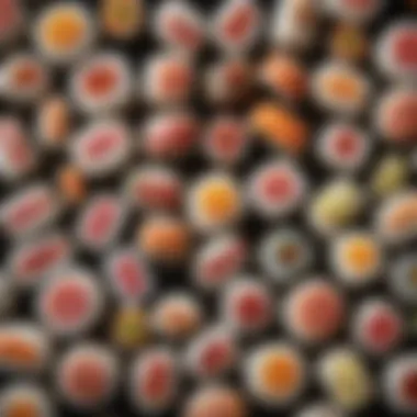 Yuan Sushi Flavor Fusion